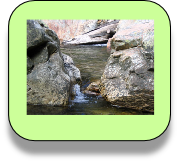 Fluvial Beaches